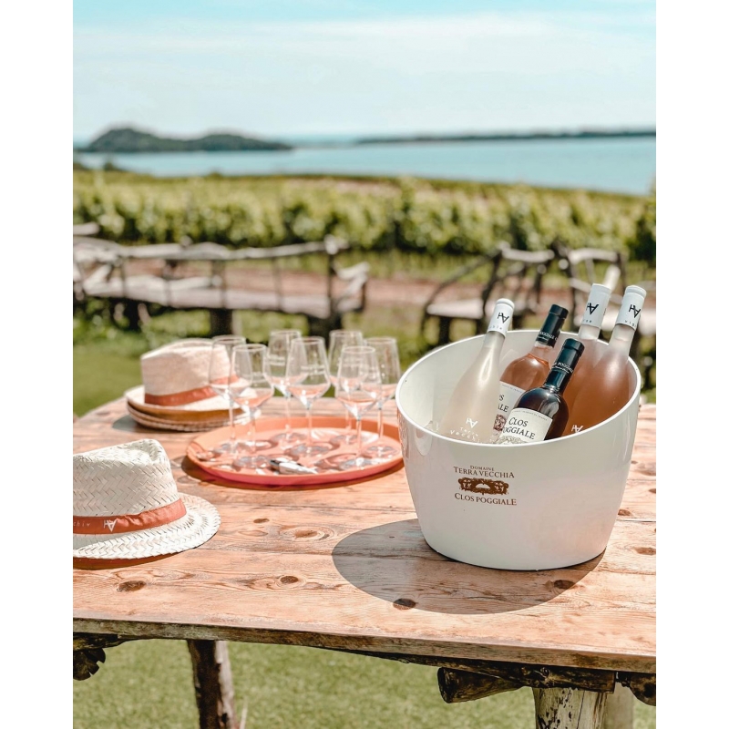 Visite Immersive du Domaine – Secrets, Saveurs & Panoramas