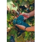 Visite Immersive du Domaine – Secrets, Saveurs & Panoramas Visite Immersive du Domaine – Secrets, Saveurs & Panoramas
