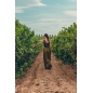 Visite Immersive du Domaine – Secrets, Saveurs & Panoramas Visite Immersive du Domaine – Secrets, Saveurs & Panoramas