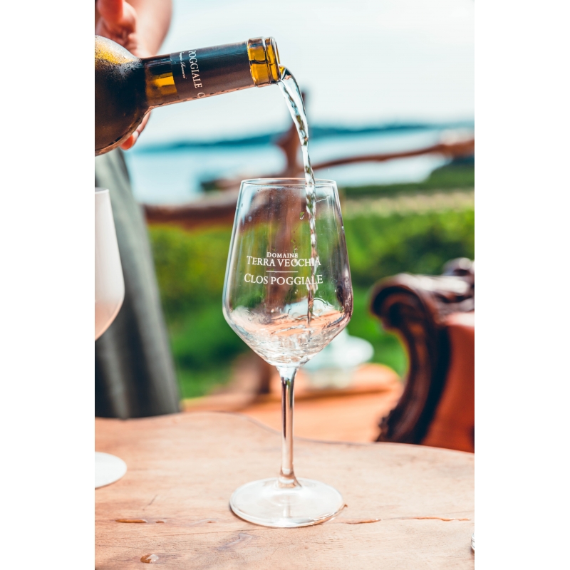 Pause Gourmande au Domaine Terra Vecchia